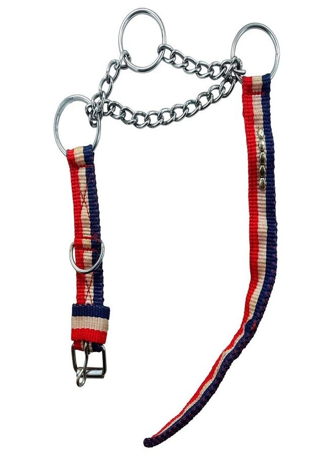 DIY Crafts DIY DIYC-13724 Crafts Nylon Belt Dog Collar Pet Belt Dno# 1 (Pack of 2 Pcs, Multi) - Image 3